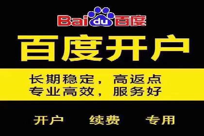 行业领先的SEM推广代运营公司案例集锦